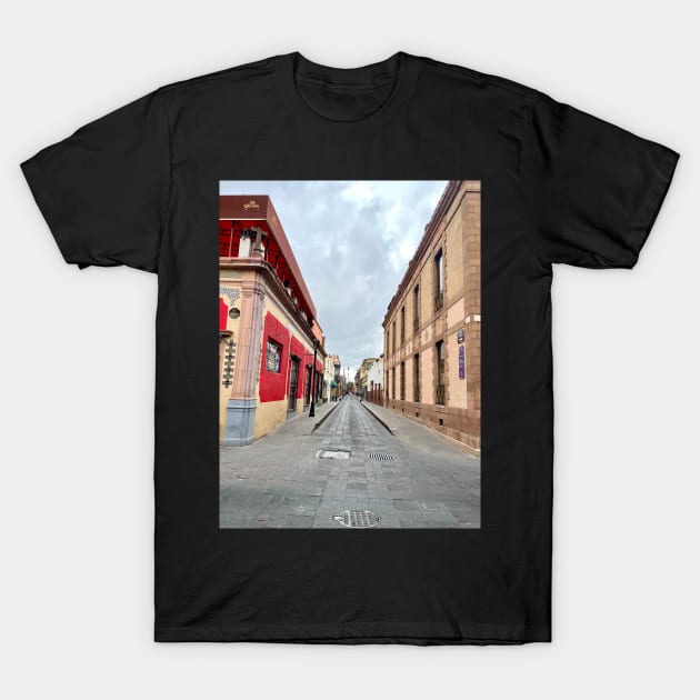 Street in Potasi, Mexico T-Shirt by ephotocard